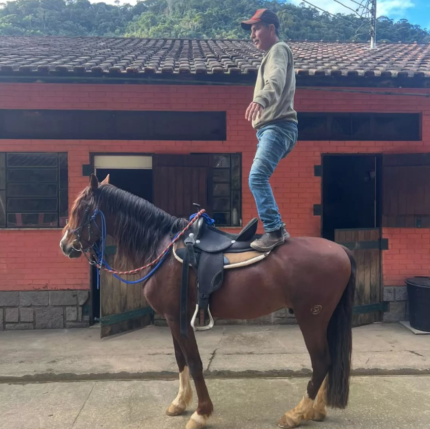 Processo de doma de um cavalo