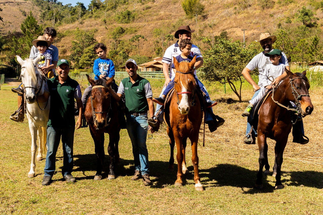 Cavalo recebendo cuidados e atenção