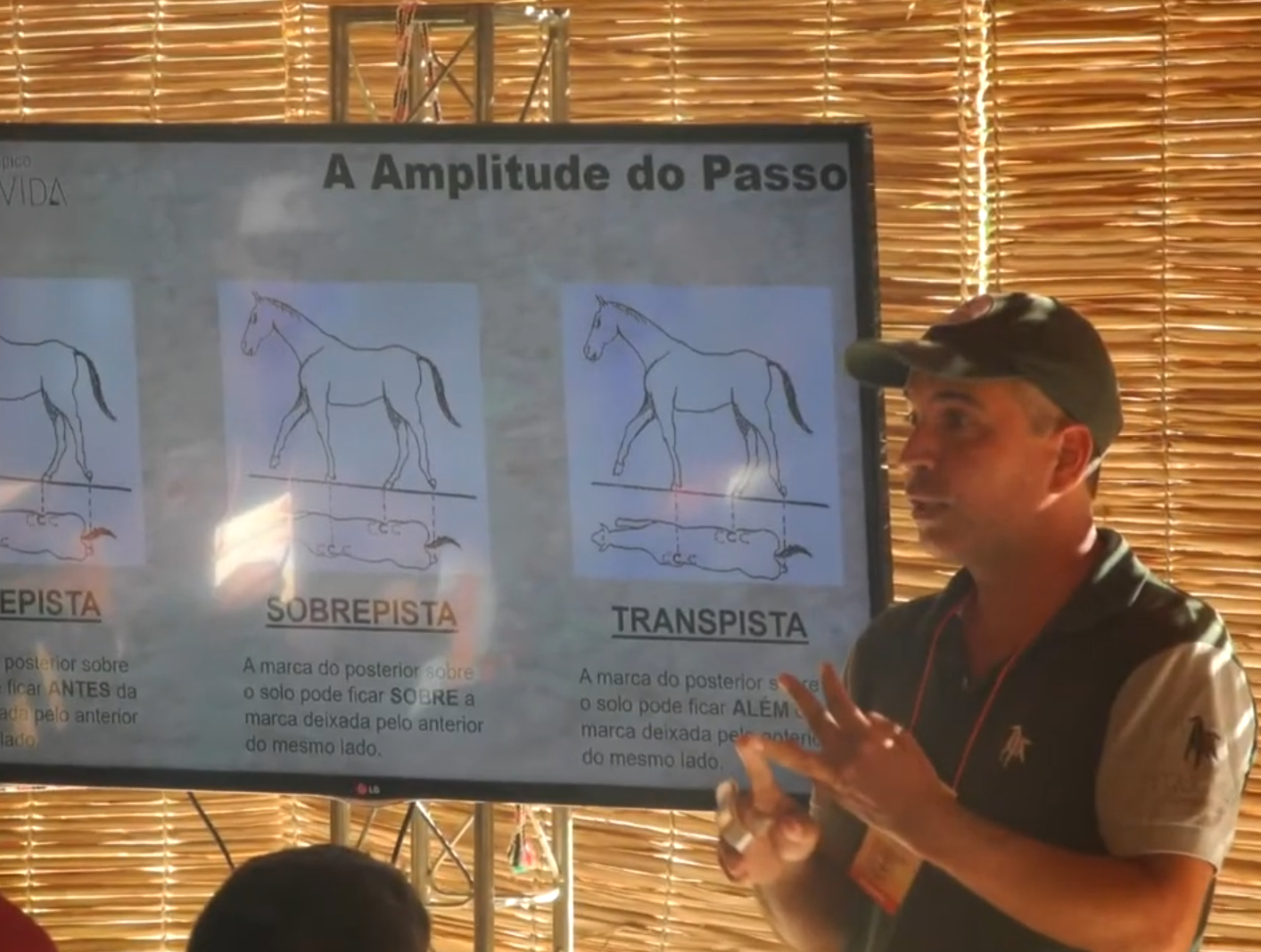 Participantes em um workshop no Equovida