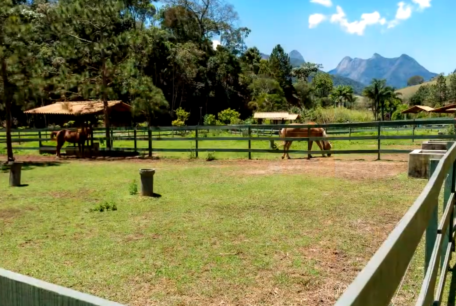Pista de treinamento de alta qualidade