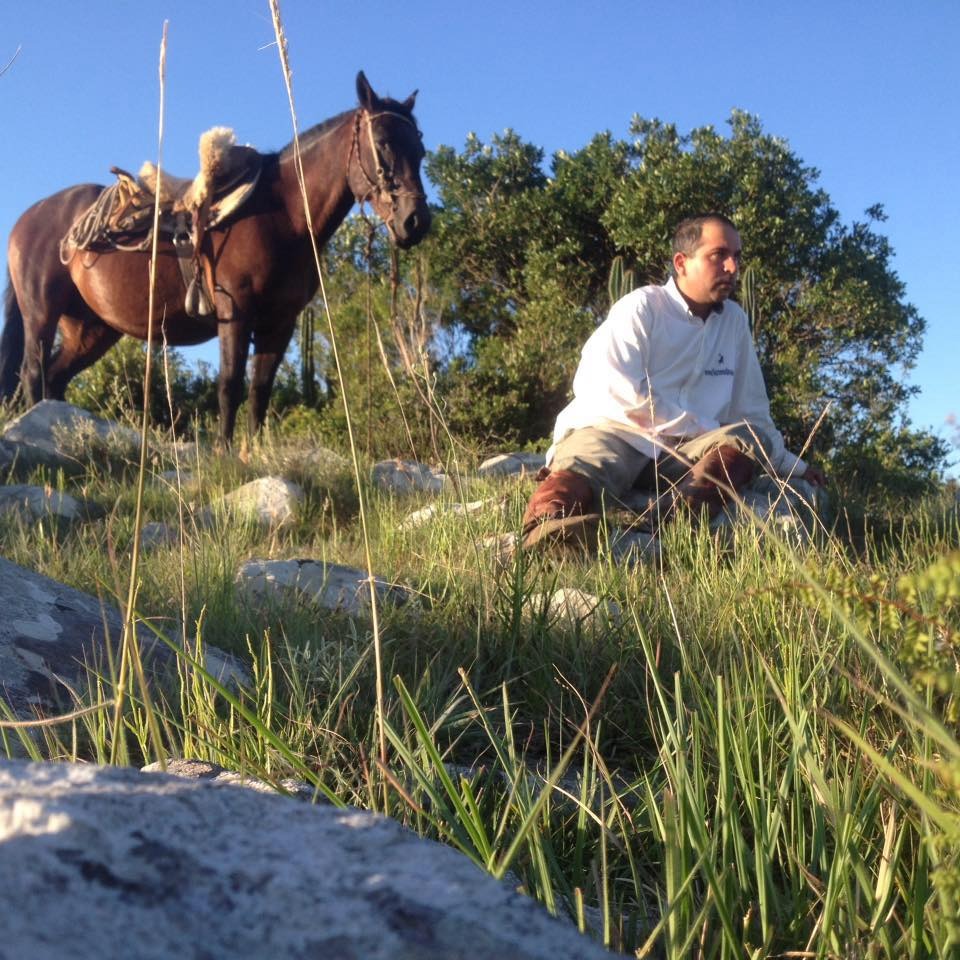 Cavalo recebendo cuidados